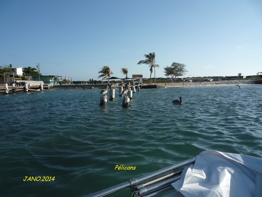   LOS ROQUES