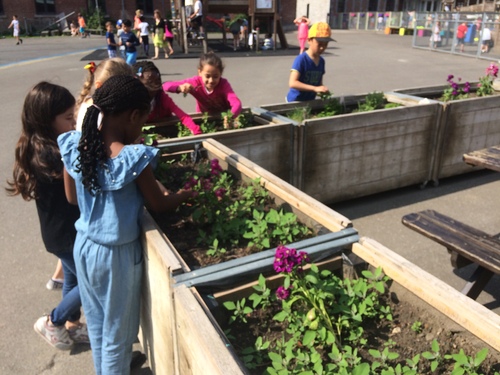 La récréation dans le jardin... Un vrai plaisir...