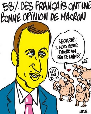 "Macron" le cri qui tue ... 