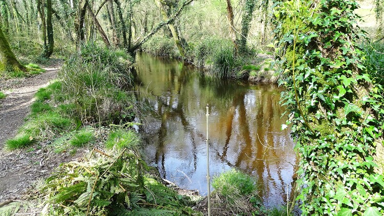 Remonter le ruisseau jusqu'à  Languidic (2)