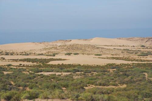 Quelques dunes bordent la côte