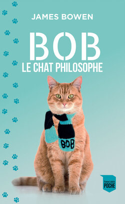 Bob le chat philosophe