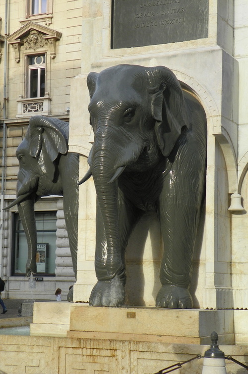 Chambéry en suivant les éléphants ( 4 )