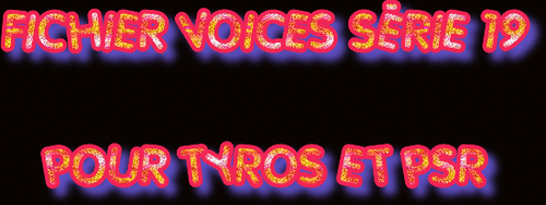 FICHIERS VOICES SERIE 19