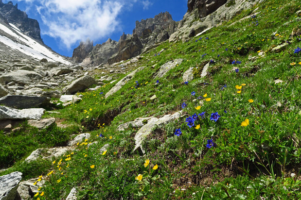 Vers le Col des Ecandies