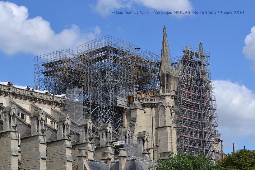 Notre-Dame de Paris : Dernières nouvelles ... 