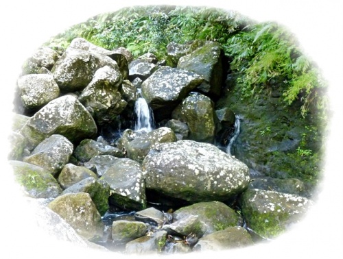 Bassin la Paix (2/3) -