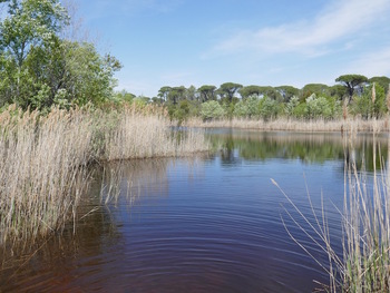 Le lac des Flacs