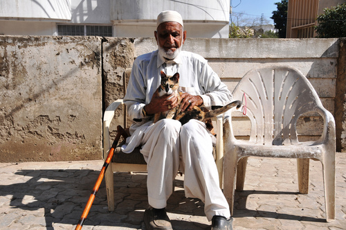 08 - Des chats, des hommes en couleurs