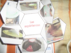 lapbook