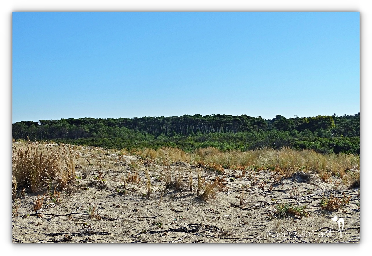Les plages de l'océan en septembre