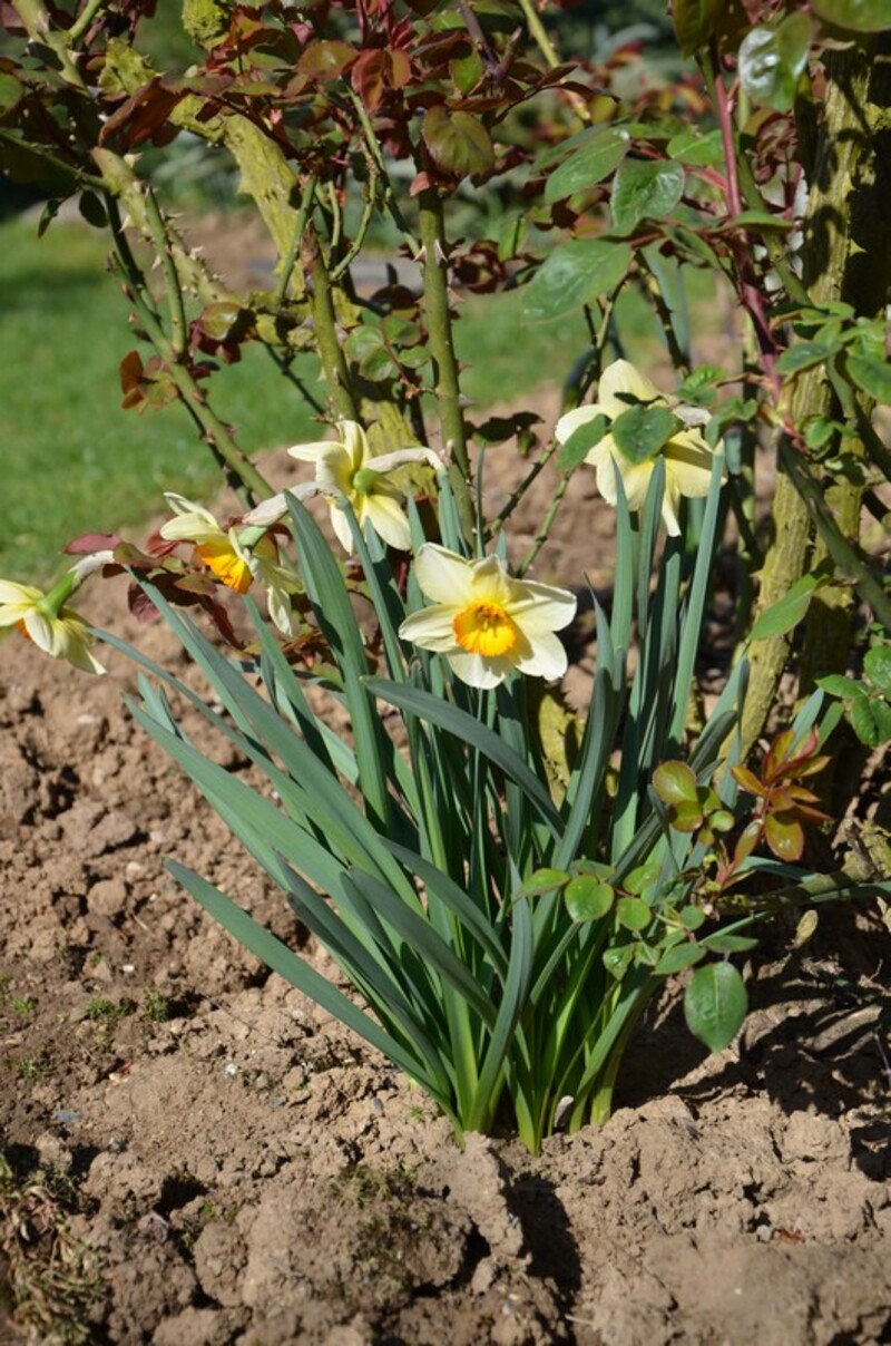 à toutes  et tous, une bonne  fin de semaine.