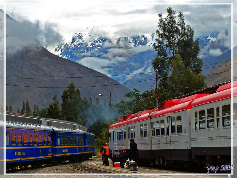 Au petit matin, départ pour presque 3 heures de trajet en train puis navette pour monter au Machu Picchu - Gare d'Ollantaytambo - Pérou