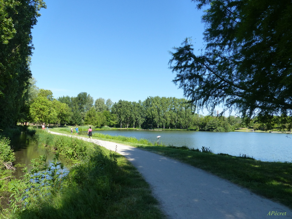 Le grand étang du parc 