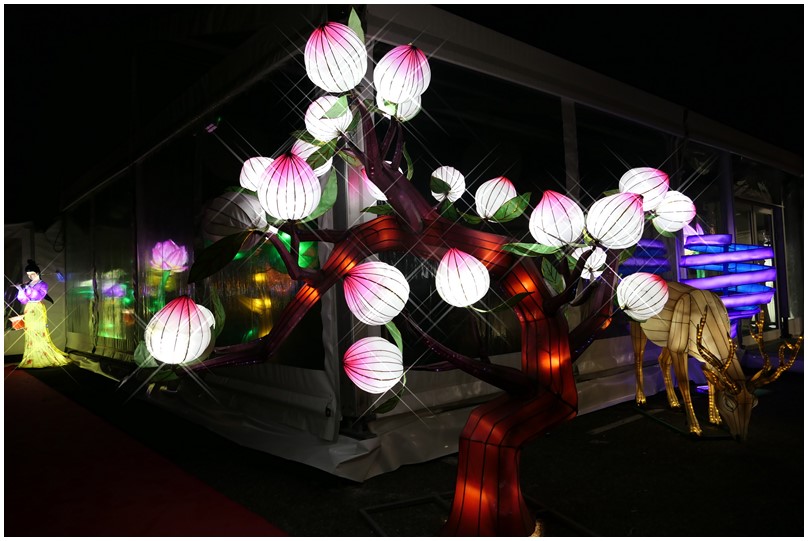 Festival des lanternes-Jardin fantastique-12