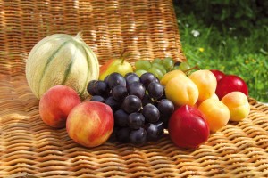 Fruits-dete_Osier-300x200.jpg