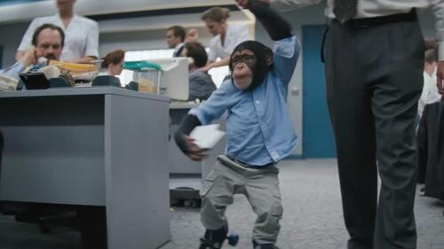 PETA demande à Martin Scorsese et Leonardo DiCaprio de sauver le chimpanzé du Loup de Wall Street