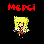 Intervenez sur le site !