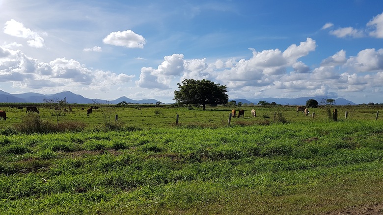 29 Juillet 2019 - Paluma National Park & Forest Beach