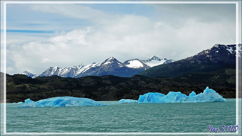 Approche du Glacier Upsala avec une eau parfois bleu lagon et rencontres de plus en plus fréquentes avec des icebergs bleu très profond - Lago Argentino - Patagonie - Argentine