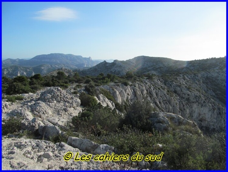 Le renard des calanques suite et ...fin !