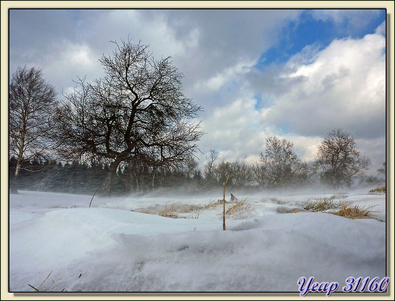  Le blizzard soufflait fort au Plan d'Arraux - Col de Larrieu - Aspet - 31