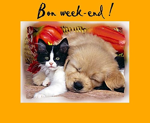 669--Bon-week-end.jpg