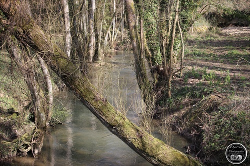 Longwe, le ruisseau