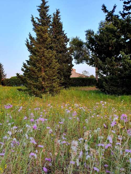 un tour dans la campagne majorquine 