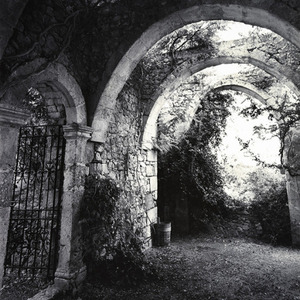 Linda Butler - Metal Gate and Wisteria Ostuni, Italy