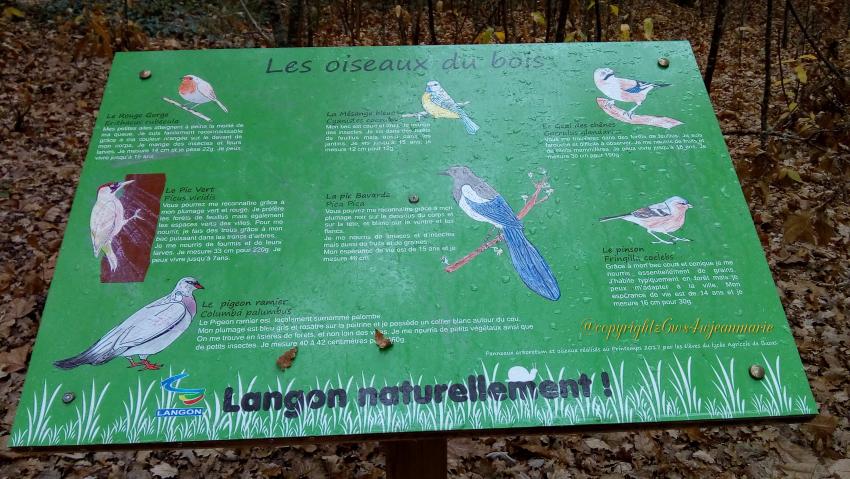 Protection des animaux,écologie,pas de chasse,un bois de réserve des oiseaux a Langon que j'ai trouvé