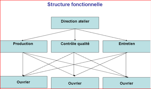 Structure fonctionnelle - STAFF