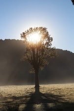 D'Arrowtown à Hanmer Springs