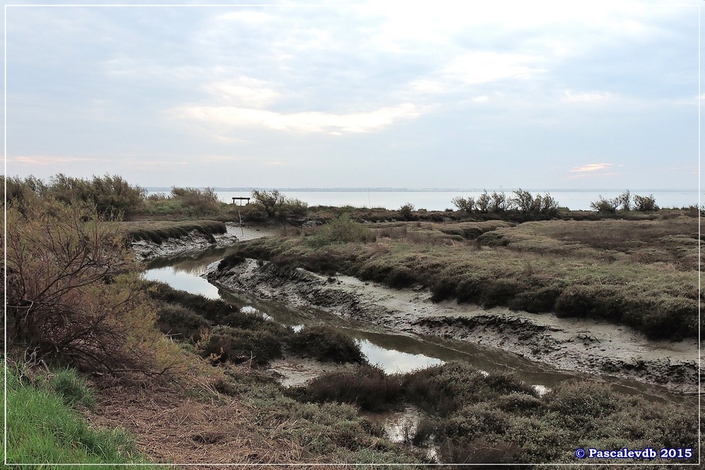 Tour du domaine de Graveyron - Décembre 2015 - 2/5