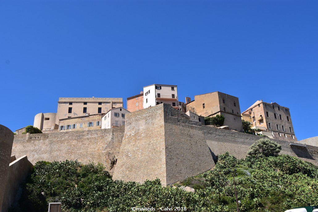 Calvi - Corse (1)