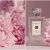 JO MALONE