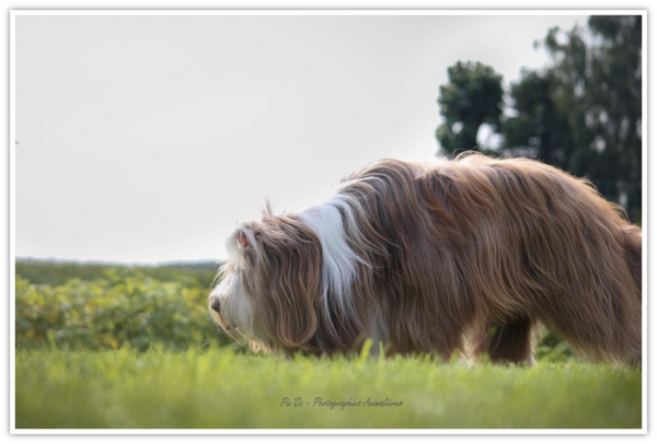 ♥ Natty & Neela petites-filles d' Athos fêtent leur 5 ans♥