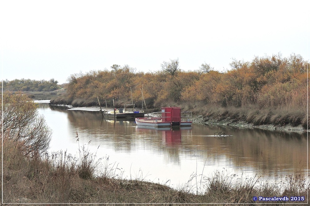 Tour du domaine de Graveyron - Décembre 2015 - 1/5