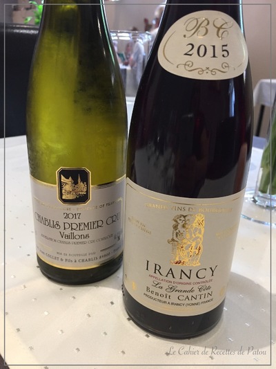 Vin Rouge Irancy Benoit Cantin – Palotte Bourgogne