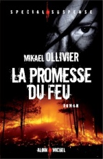 La promesse du feu, Mikaël OLLIVIER