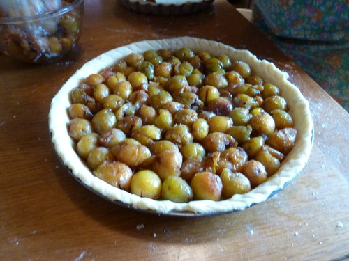 TARTE AUX MIRABELLES 