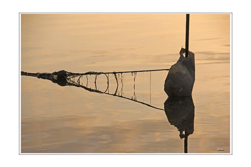 Le soleil se couche, la balade est belle (Etang de Leucate -Aude)