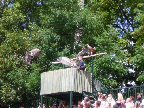 PARC ZOOLOGIQUE DE BEAUVAL EN SOLOGNE