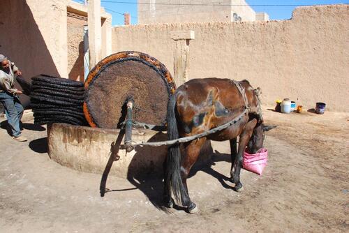 Retour vers Agadir