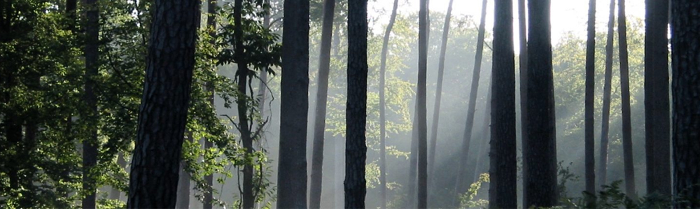 Calendrier des jours de chasse en forêt de Montfort