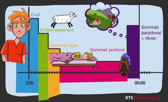 CE1 : Aborder la lecture d'écrits très spécialisés - Bienvenue chez les  P'tits !