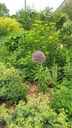 Visite du Jardin " la Maison "