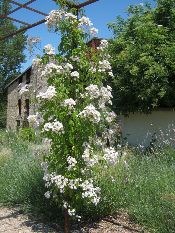 - Le Jardin de la Rivière 