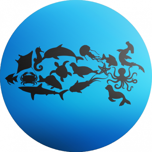 Essais de logos pour un aquarium