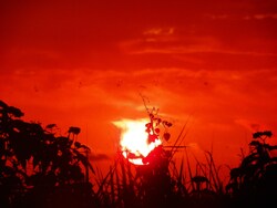Autres photos de couchers de soleil 974